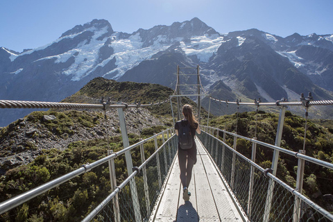 Queenstown: Mount Cook Premium Guided Day Tour