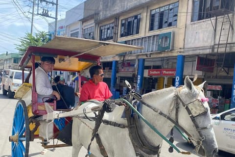 Discover the Real Cebu: Carbon Market, Carriage & Local Life - Image 2