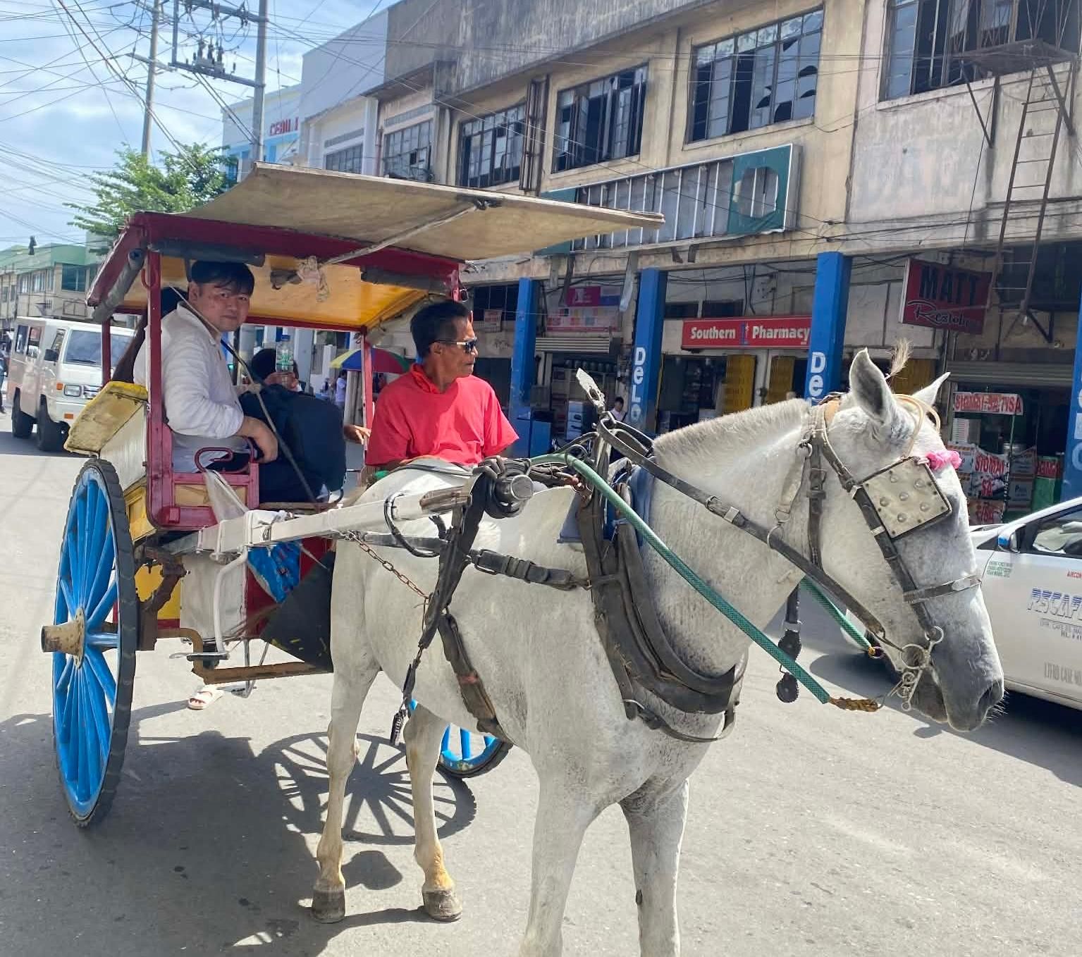 Entdecke das echte Cebu: Carbon Market, Kutsche und Slum-Besuch