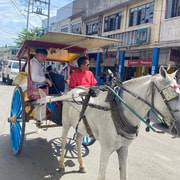 Discover the Real Cebu: Carbon Market, Carriage & Local Life Discover the Real Cebu: Carbon Market, Carriage & Local Life