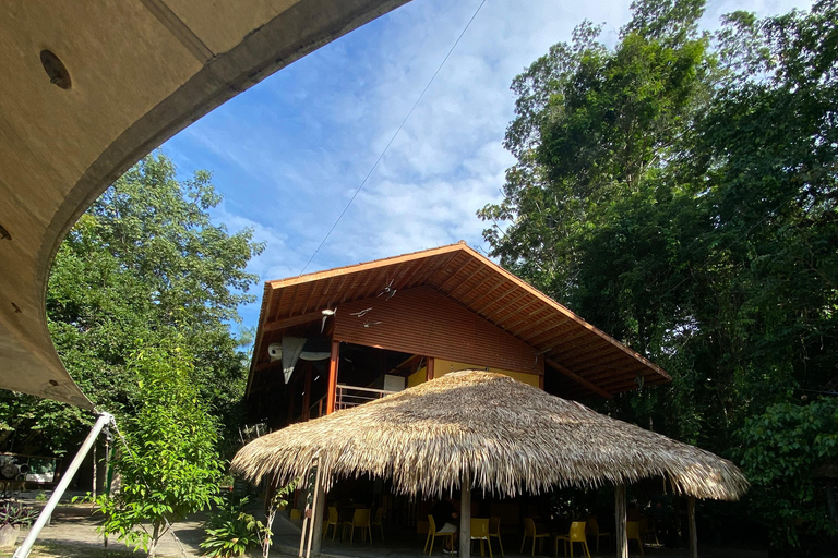 Private tour of the Amazon Museum in Manaus Private Tour at Musa (Amazon Museum) in Manaus