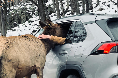 Montreal: Omega Park Private Tour with Pickup & Guide