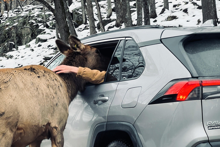 Montreal: Omega Park Private Tour with Pickup & Guide