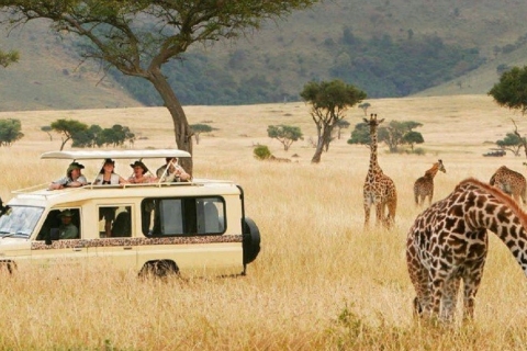 7 Tage Tansania Budget Camping Safari