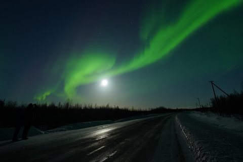 From Kiruna: Abisko National Park Northern Lights Tour