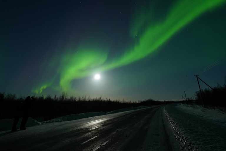 From Kiruna: Abisko National Park Northern Lights Tour
