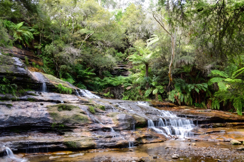 Blue Mountains Active Hike Tour from Sydney: No Rides Sydney: Blue Mountains Active Eco-Hike Tour (No Rides)