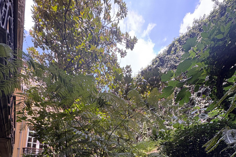 Mexico City: Roma and Condesa Neighborhoods Walking Tour