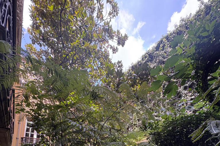 Mexico City: Roma and Condesa Neighborhoods Walking Tour