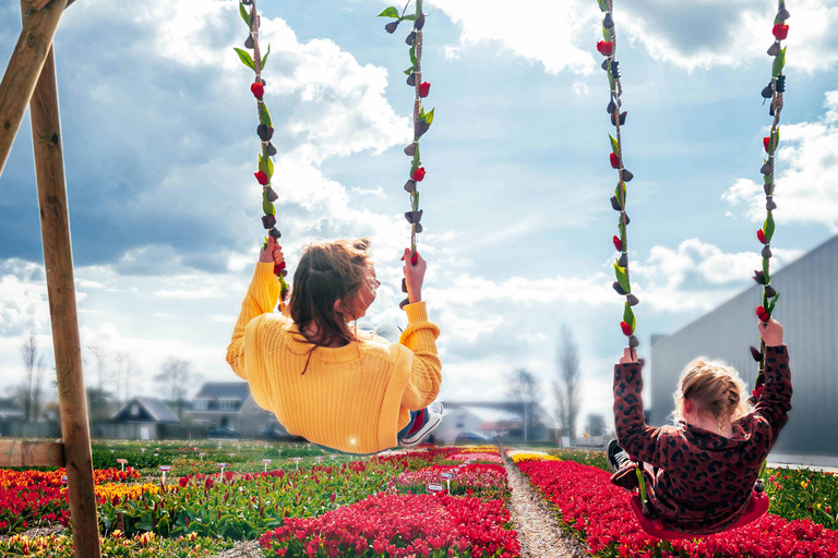 From Amsterdam: Tulip Experience and Tulip Fields Tour 4-hour tour Tulip Experience