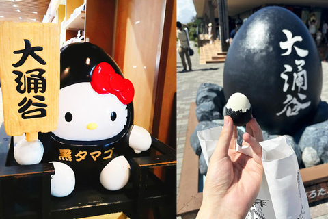 Wycieczka na górę Fuji Hakone/Kamakura: BEZPŁATNA kolejka linowa i rejs po jeziorze AshiWycieczka ze stacji Shinjuku o godz. 8:30 – bez kolejki linowej i rejsu statkiem