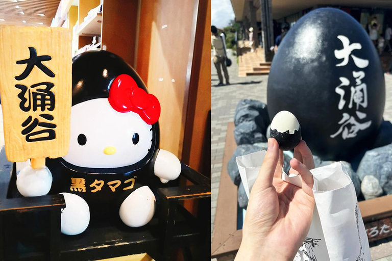 Wycieczka na górę Fuji Hakone/Kamakura: BEZPŁATNA kolejka linowa i rejs po jeziorze AshiWycieczka ze stacji Shinjuku o godz. 8:30 – bez kolejki linowej i rejsu statkiem