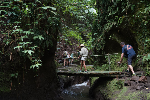 Ubud: Lost Temple Challenge and Secret Waterfalls