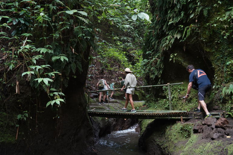 Ubud: Lost Temple Challenge and Secret Waterfalls