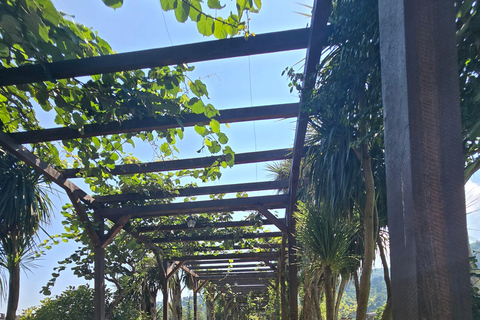 Private Full Day Tour from Batumi to Waterfalls