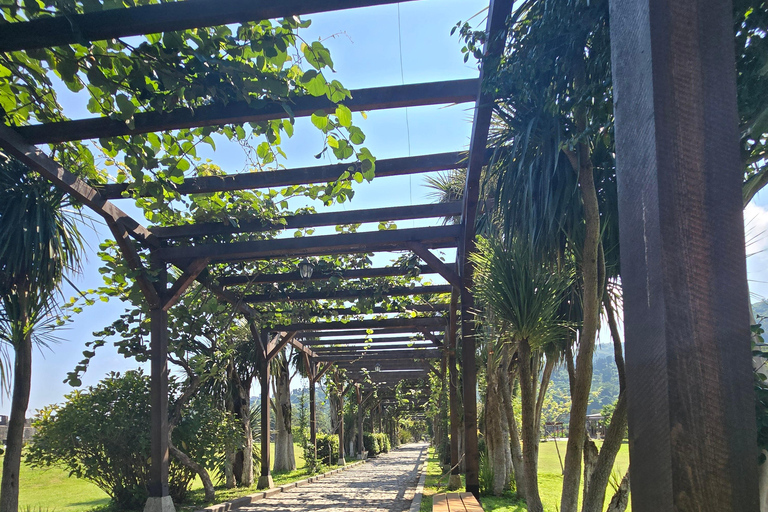 Private Full Day Tour from Batumi to Waterfalls