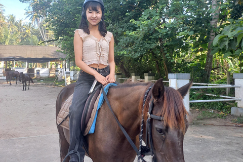 Bali : Beach Horse Riding Experience & Hidden Waterfall Beach Horse Riding Experience + Hidden Waterfall