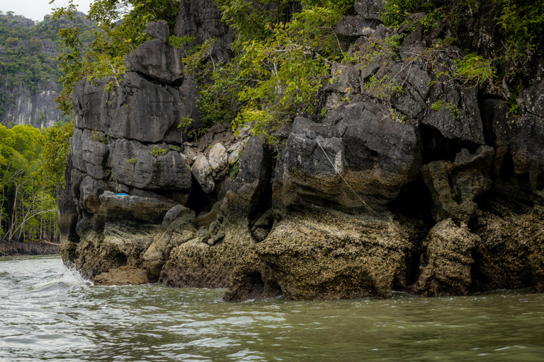 Langkawi:6 Hours Mangrove Night Safari with Pick Up & Dinner