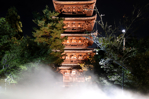 Ninnaji Temple: Special Entry for Unkai Light-up & Kannon-do Unkai (cloud sea) Light-up Entry Ticket