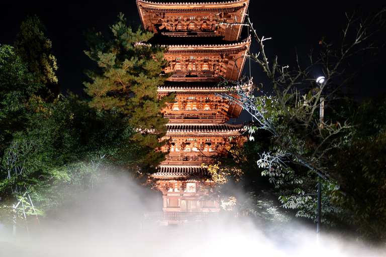 Ninnaji Temple: Special Entry for Unkai Light-up & Kannon-do Unkai (cloud sea) Light-up Entry Ticket