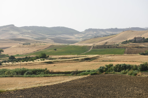 Sensory walk with lunch in the Caltagirone countryside