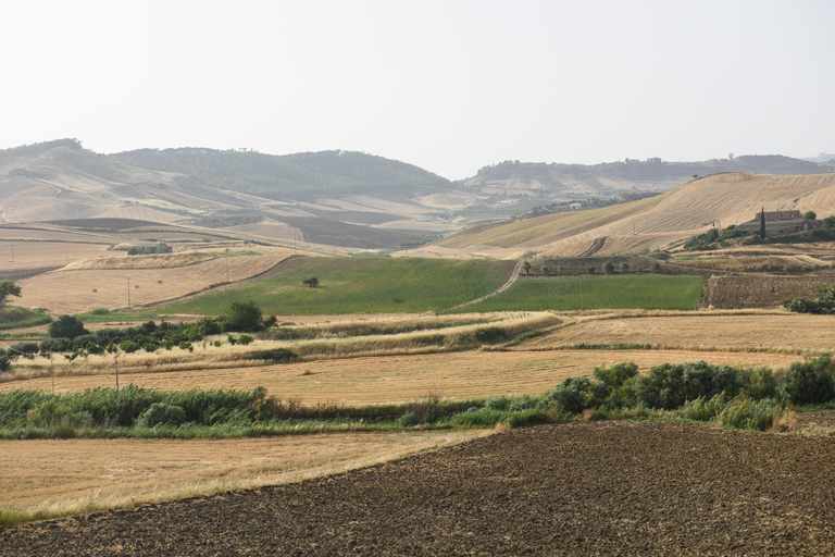 Sensory walk with lunch in the Caltagirone countryside