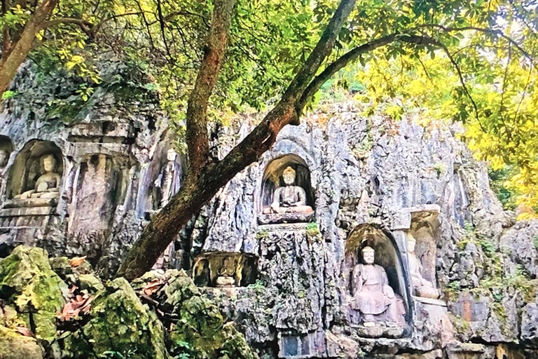 جولة خاصة شاملة كلياً في أبرز معالم مدينة شنغهايAll Inclusive Tour