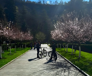 Borjomi Gorge Guided Bike Tour