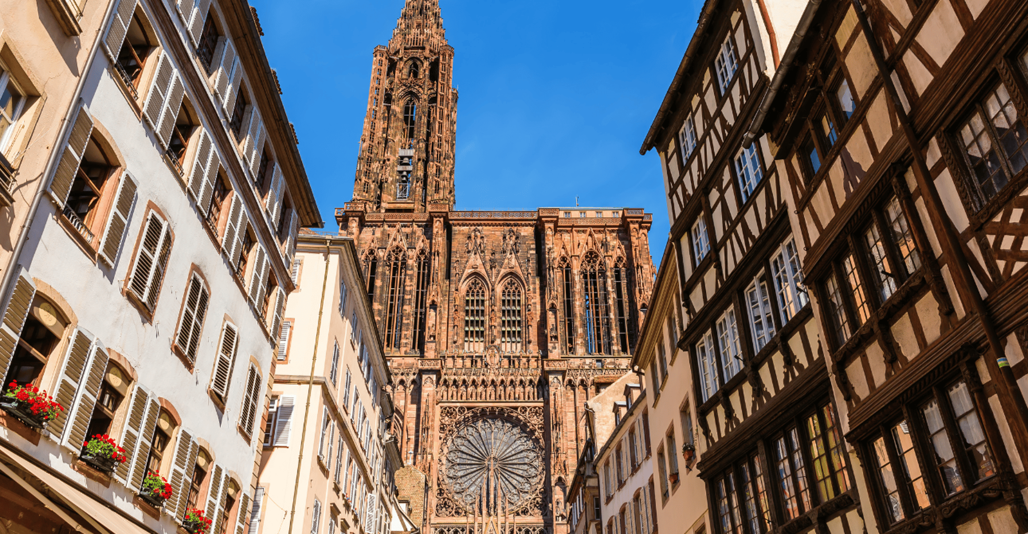 Strasbourg , Visite guidée à vélo avec un local - Hizvo