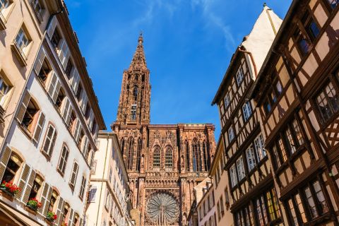 Strasbourg : Guided bike tour with a local