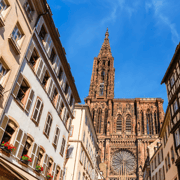 Strasbourg : Guided bike tour with a local
