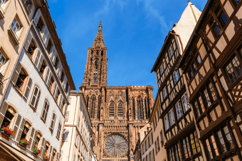 Estrasburgo: Tour do vinho de bicicleta com um morador local