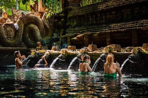 Ubud: Tirta Empul, Kanto Lampo Waterfall, Rice Terraces & Swing - Image 2