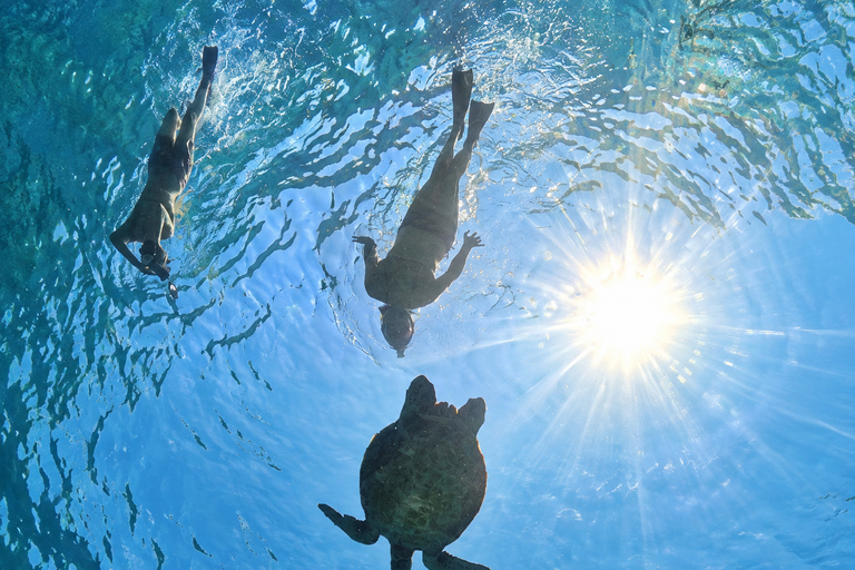 From Gili Air: Snorkelling Trip with Turtles, Statue & GoPro From Gili Air: Shared Snorkeling with Turtles, Statue &GoPro