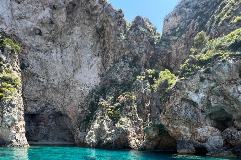 Explora el parque marino de Laganas en barco VIP