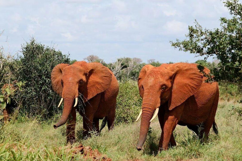 Mombasa/Diani: 2-Day Tsavo East Safari with Meals Private day tour to Tsavo East National Park - VAN