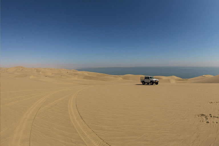 Doha:Inland Sea Guided Tour with Local Expert & Refreshments