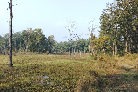 3 noites e 4 dias no Parque Nacional de Chitwan com estadia de uma noite na torre