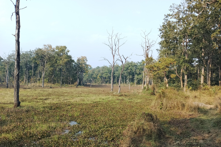 3 Noches 4 Días Parque Nacional de Chitwan con Estancia Nocturna en la Torre