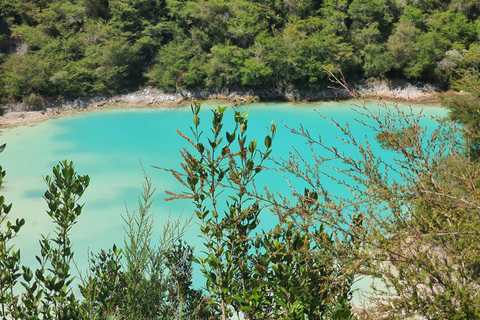 Wycieczki Rotorua i Taupo:, odwiedź naturalne gorące źródła i gejzeryWycieczki Rotorua i Taupo Parki gejzerów, jaskinie Waitomo, Hobbiton