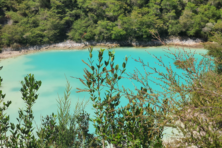 Wycieczki Rotorua i Taupo:, odwiedź naturalne gorące źródła i gejzeryWycieczki Rotorua i Taupo Parki gejzerów, jaskinie Waitomo, Hobbiton