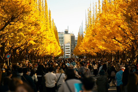 Tokyo: Golden Ginkgo Avenue Autumn Leaves Walk