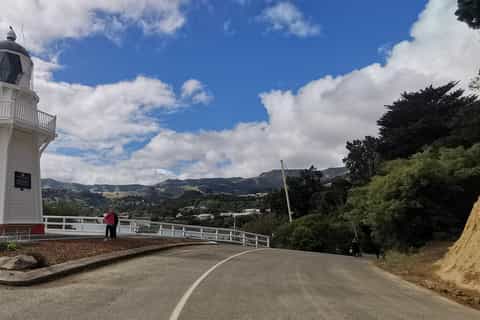 From Christchurch: Akaroa Day Tour with Optional Cruise - Image 3