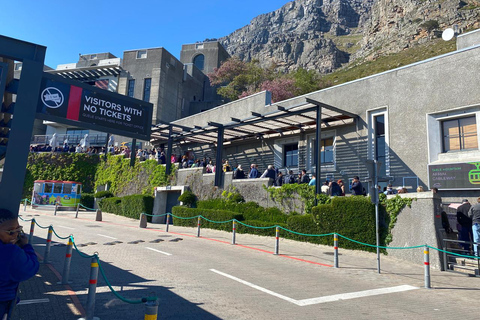 Le Cap : visite d&#039;une demi-journée à Table Mountain avec montée en téléphérique