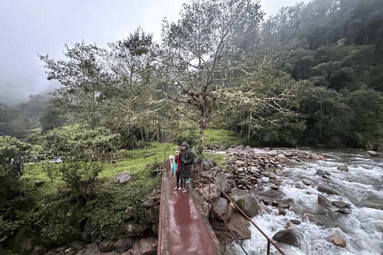 Papallacta Hot Springs und Trekking im Cuyuja Reservat mit Transfer