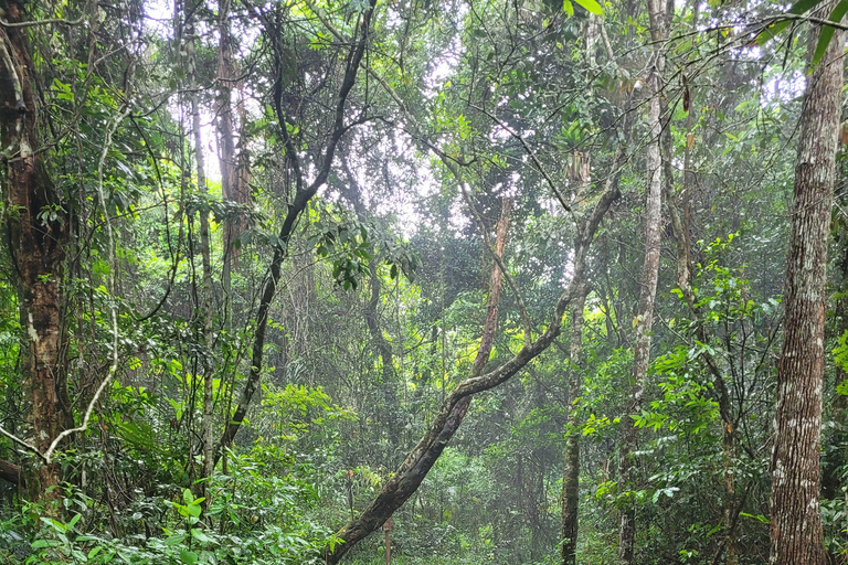 JUATINGA: tour di 4 giorni FORESTA ATLANTICA e SPIAGGE - PARATIA - RIO DE JANEIRO