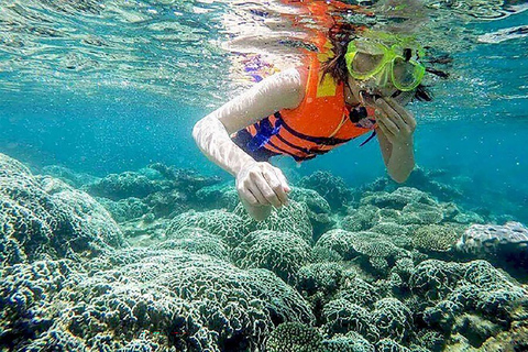 Da Nang/Hoi An: Private Cham Island Tour with Lunch Hoi An PRIVATE Transfers: Cham Island Snorkeling with Lunch