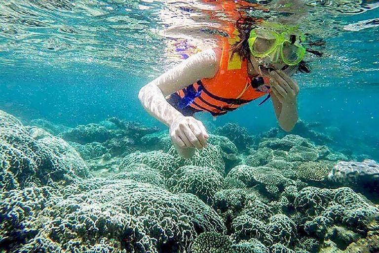 Da Nang/Hoi An: Private Cham Island Tour with Lunch Hoi An PRIVATE Transfers: Cham Island Snorkeling with Lunch