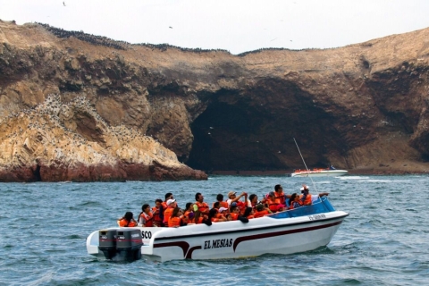 Islas Palomino - Zwemmen met zeeleeuwen