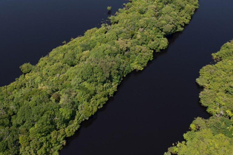 Manaus: archipelag Anavilhanas